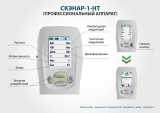СКЭНАР-1-НТ (исполнение 01)  в Камышлове купить Медицинская техника - denasosteo.ru 