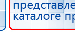 СКЭНАР-1-НТ (исполнение 02.1) Скэнар Про Плюс купить в Камышлове, Аппараты Скэнар купить в Камышлове, Медицинская техника - denasosteo.ru